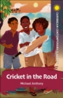 Image for Cricket in the road
