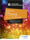 Image for Addysgu Ffiseg yn yr Uwchradd (Teaching Secondary Physics 3rd Edition Welsh Language edition)