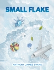 Image for Small flake