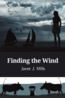 Image for Finding the Wind