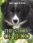 Image for The Story of Jedd