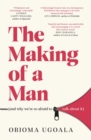 Image for The making of a man  : myths of race, sex and masculinity