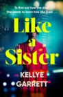 Image for Like a sister