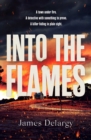 Image for Into the Flames : The scorching new summer thriller