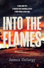 Image for Into the Flames : The scorching new summer thriller