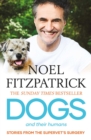 Image for Dogs and their humans: stories of healing and hope from the supervet&#39;s surgery