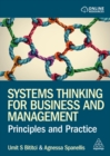Image for Systems thinking for business and management  : principles and practice