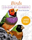 Image for Large Print Colour by Numbers Birds : Easy-to-Read