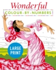 Image for Wonderful Colour by Numbers Large Print