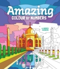 Image for Amazing Colour by Numbers : Includes 45 Artworks To Colour