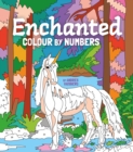 Image for Enchanted Colour by Numbers : Includes 45 Artworks To Colour