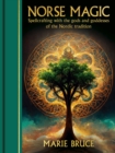 Image for Norse Magic