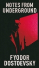 Image for Notes from Underground