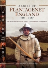 Image for Armies of Plantagenet England, 1135-1337: The Scottish and Welsh Wars and Continental Campaigns