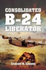 Image for Consolidated B-24 Liberator