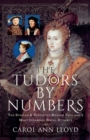 Image for Tudors by Numbers: The Stories and Statistics Behind England&#39;s Most Infamous Royal Dynasty