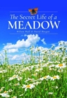 Image for The Secret Life of a Meadow