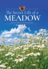 Image for Secret Life of a Meadow