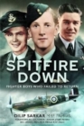 Image for Spitfire down