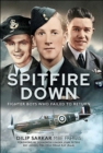 Image for Spitfire Down: Fighter Boys Who Failed to Return