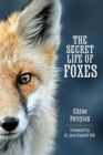 Image for Secret Life of Foxes