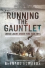 Image for Running the gaunlet
