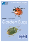 Image for RSPB ID Spotlight - Garden Bugs