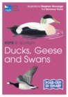 Image for RSPB ID Spotlight - Ducks, Geese and Swans