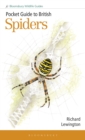 Image for Pocket Guide to British Spiders