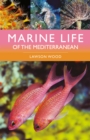 Image for Marine life of the Mediterranean