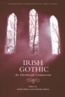 Image for Irish Gothic: an Edinburgh companion