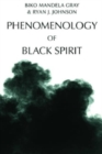 Image for Phenomenology of Black Spirit