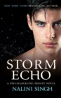 Image for Storm Echo
