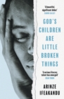 Image for God&#39;s children are little broken things