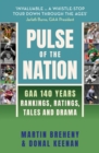 Image for Pulse of the Nation