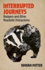Image for Interrupted Journeys