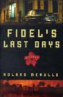 Image for Fidel&#39;s last days  : a novel