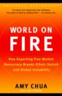 Image for World on fire: how exporting free market democracy breeds ethnic hatred and global instability