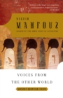 Image for Voices from the Other World : Ancient Egyptian Tales