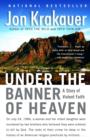 Image for Under the banner of heaven: a story of violent faith