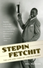 Image for Stepin Fetchit : The Life &amp; Times of Lincoln Perry