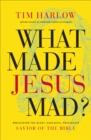 Image for What Made Jesus Mad?: Rediscover the Blunt, Sarcastic, Passionate Savior of the Bible