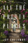 Image for All the pretty places  : a novel of the Gilded Age