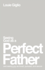 Image for Seeing God as a perfect father  : and seeing you as loved, pursued, and secure