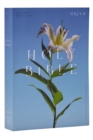 Image for NRSV Catholic Edition Bible, Easter Lily Paperback (Global Cover Series) : Holy Bible