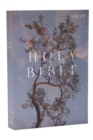 Image for NRSV Catholic Edition Bible, Eucalyptus Paperback (Global Cover Series) : Holy Bible