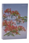 Image for NRSV Catholic Edition Bible, Royal Poinciana Paperback (Global Cover Series) : Holy Bible