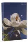 Image for NRSV Catholic Edition Bible, Magnolia Paperback (Global Cover Series)