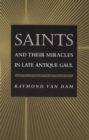 Image for Saints and Their Miracles in Late Antique Gaul