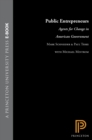 Image for Public Entrepreneurs: Agents for Change in American Government